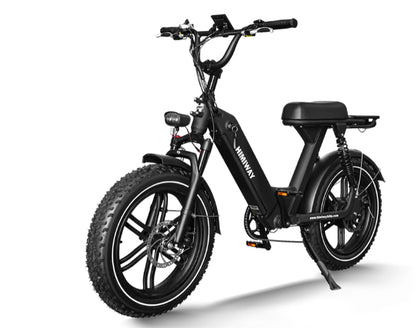 Himiway Escape Pro Electric Cargo Electric Bike