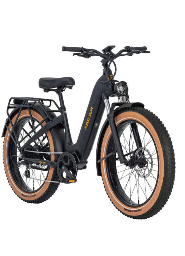 Aima Big Sur Electric Bike