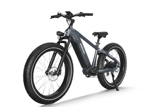 Himiway Zebra Electric Bike