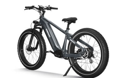 Himiway Zebra Electric Bike