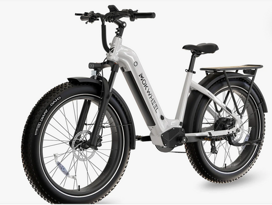 Mokwheel Basalt ST Electric Bike