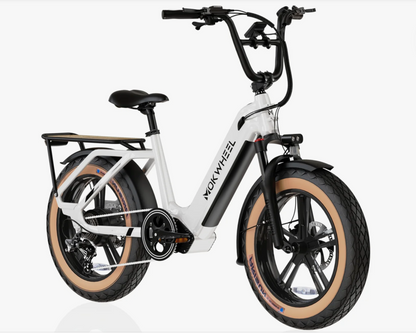 Mokwheel Scoria Electric Bike