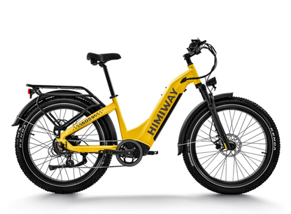 Himiway Zebra D5 ST Electric Bike