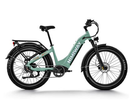 Himiway Zebra D5 ST Electric Bike