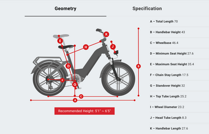 Himiway Big Dog Electric Bike