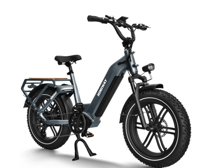 Himiway Big Dog Electric Bike