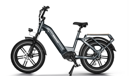 Himiway Big Dog Electric Bike