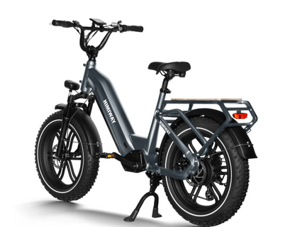 Himiway Big Dog Electric Bike