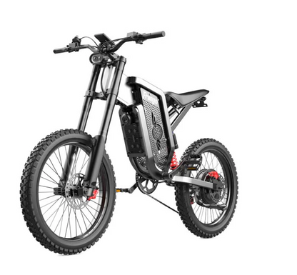 Freego X2 Electric Bike