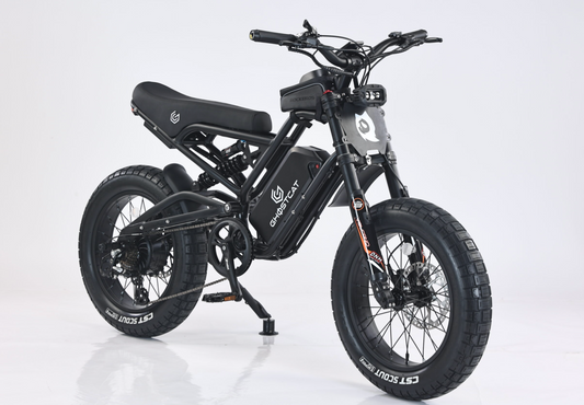 GHOSTCAT F3X 1500w PRO Electric Bike