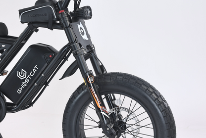 GHOSTCAT F3X 1500w PRO Electric Bike