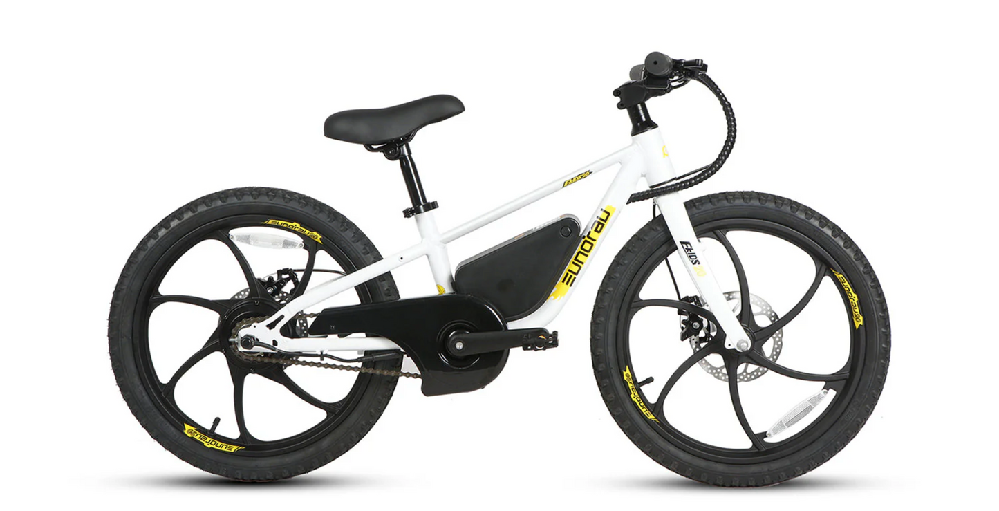 EKIDS-20 2024 Kids ebike