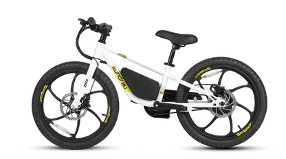 EKIDS-20 2024 Kids ebike