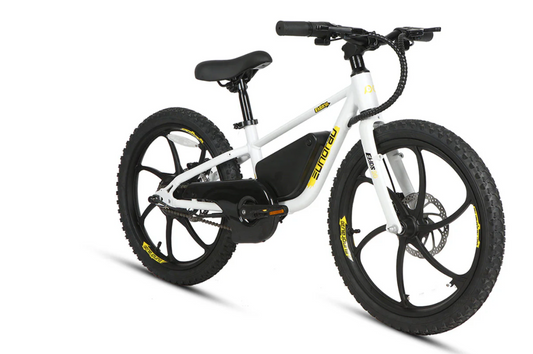 EKIDS-20 2024 Kids ebike