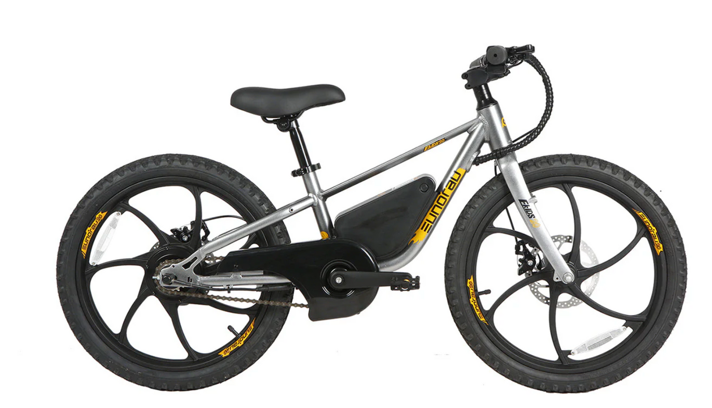 EKIDS-20 2024 Kids ebike