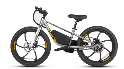 EKIDS-20 2024 Kids ebike