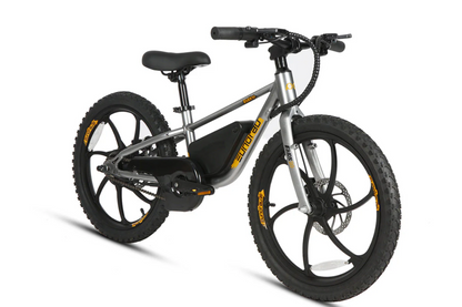 EKIDS-20 2024 Kids ebike