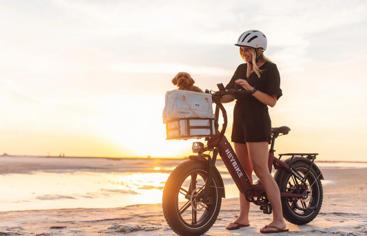 Heybike Ranger S