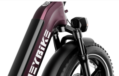 Heybike Ranger S