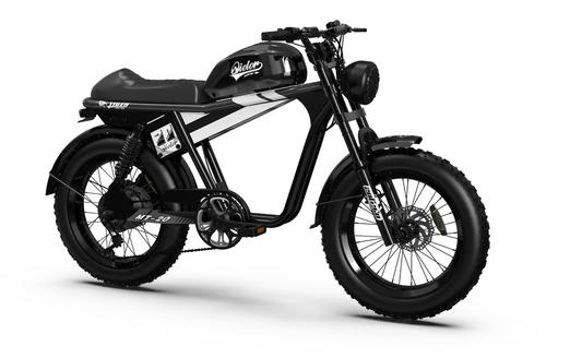 Qiolor Tiger 35Ah Electric Bike