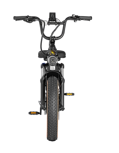 Aima Big Sur Sport Electric Bike