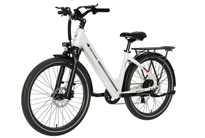 Mokwheel Asphalt ST Electric Bike