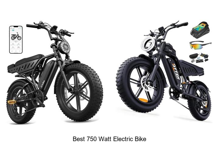 Top 15 Best 750 Watt Electric Bike That Will Blow Minds