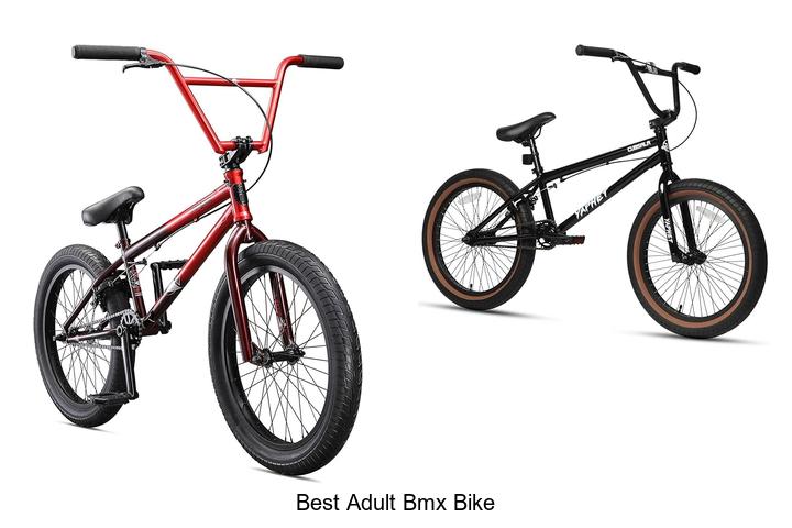 Top 15 Best Adult BMX Bike That Will Blow Your Mind!
