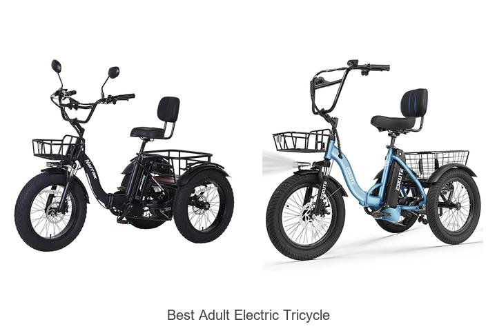 Top 15 Best Adult Electric Tricycle You Can’t Miss Now!