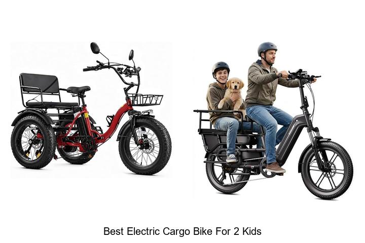 Top 15 Best Electric Cargo Bike for 2 Kids You Need!