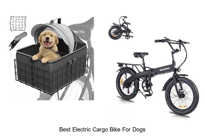 Top 15 Best Electric Cargo Bike for Dogs You Must See!