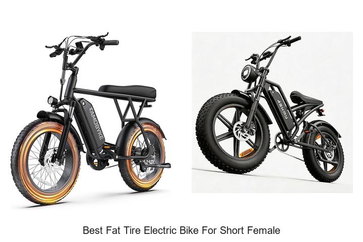 Top 15 Best Fat Tire Electric Bike for Short Female Riders