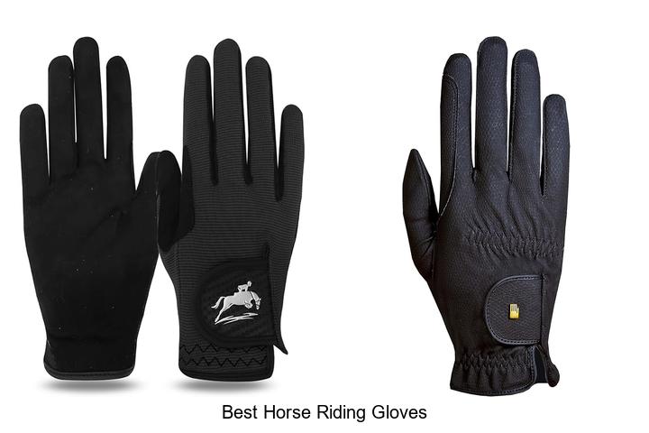 Top 15 Best Horse Riding Gloves You Can’t Miss Today!