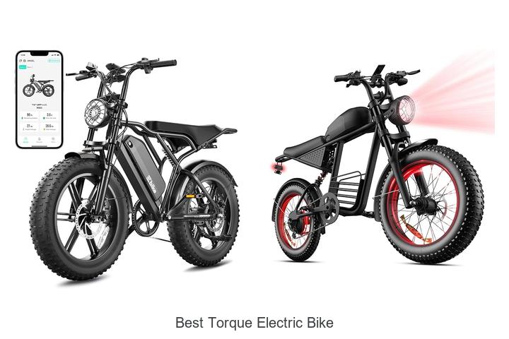 Top 15 Best Torque Electric Bike That Will Blow Your Mind