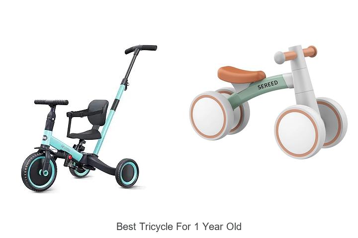 Top 15 Best Tricycle For 1 Year Old That Will Wow You!